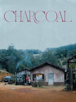 Charcoal